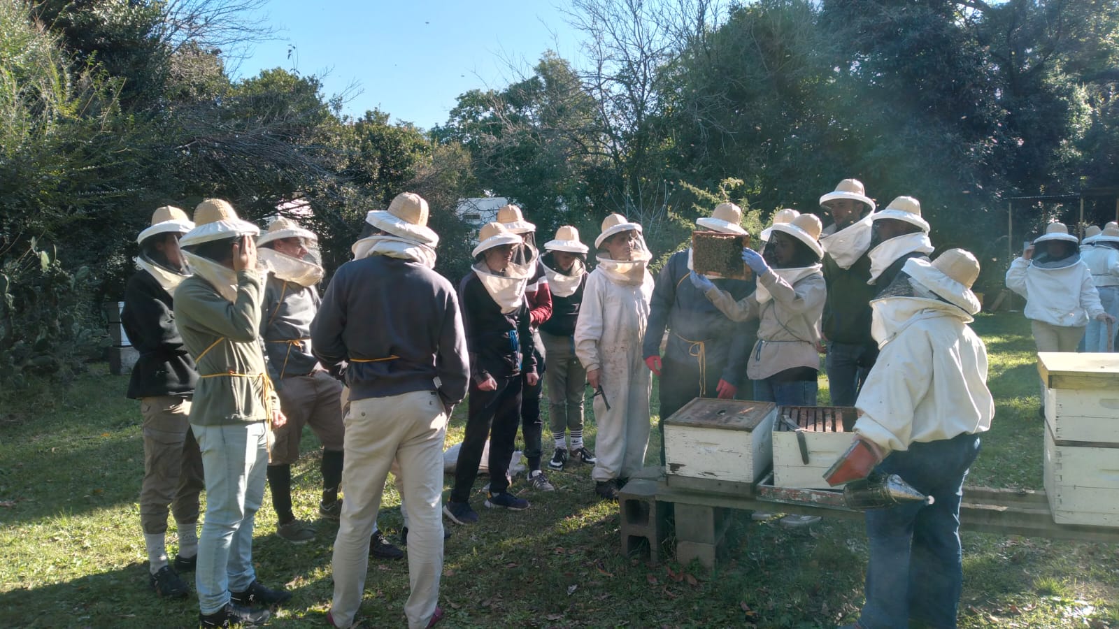 Iniciación apícola