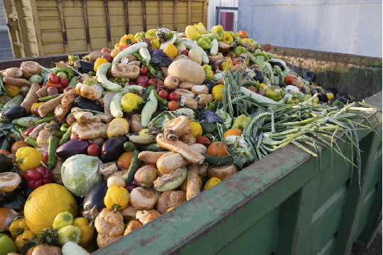 Gestión de Residuos