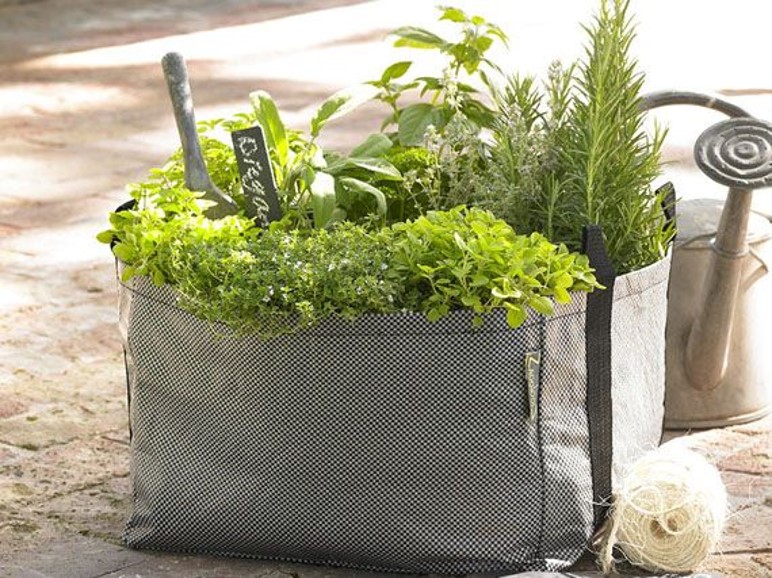 Huerta Orgánica en Macetas