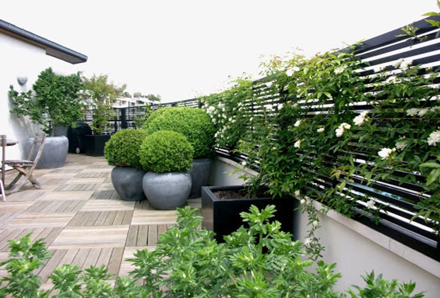 Diseño de Balcones, Terrazas, Patios e Interiores
