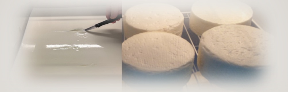 Quesos artesanales I: Aspectos básicos para su elaboración