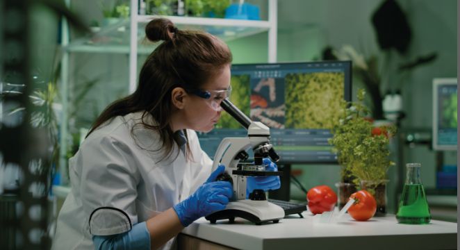 Introducción a la inteligencia artificial y la tecnología en la industria alimentaria